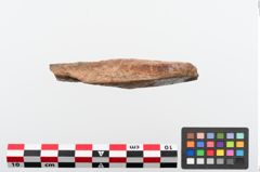 Foto von Schleifstein (NHMW-PRAE-024379)